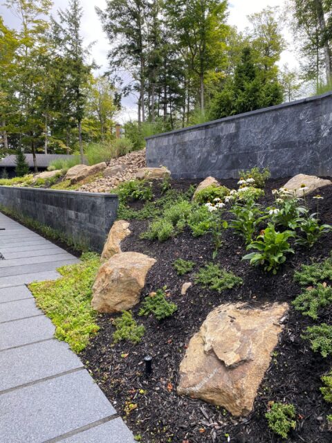 down-net_http20260130-11315-kukrkm