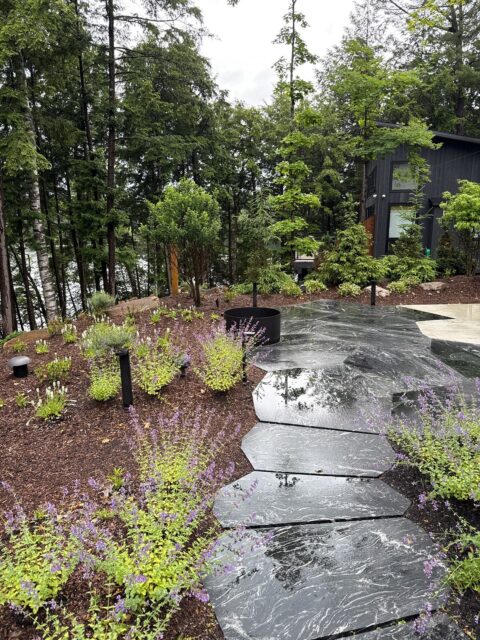 down-net_http20260130-330-zp1hrs